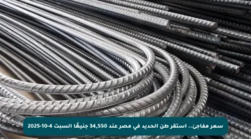 سعر مفاجئ.. استقر طن الحديد في مصر عند 34,550 جنيهًا السبت 4-10-2025